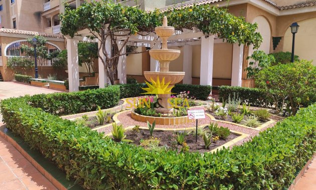 Long Term Rental - Apartment - Torrevieja - Centro