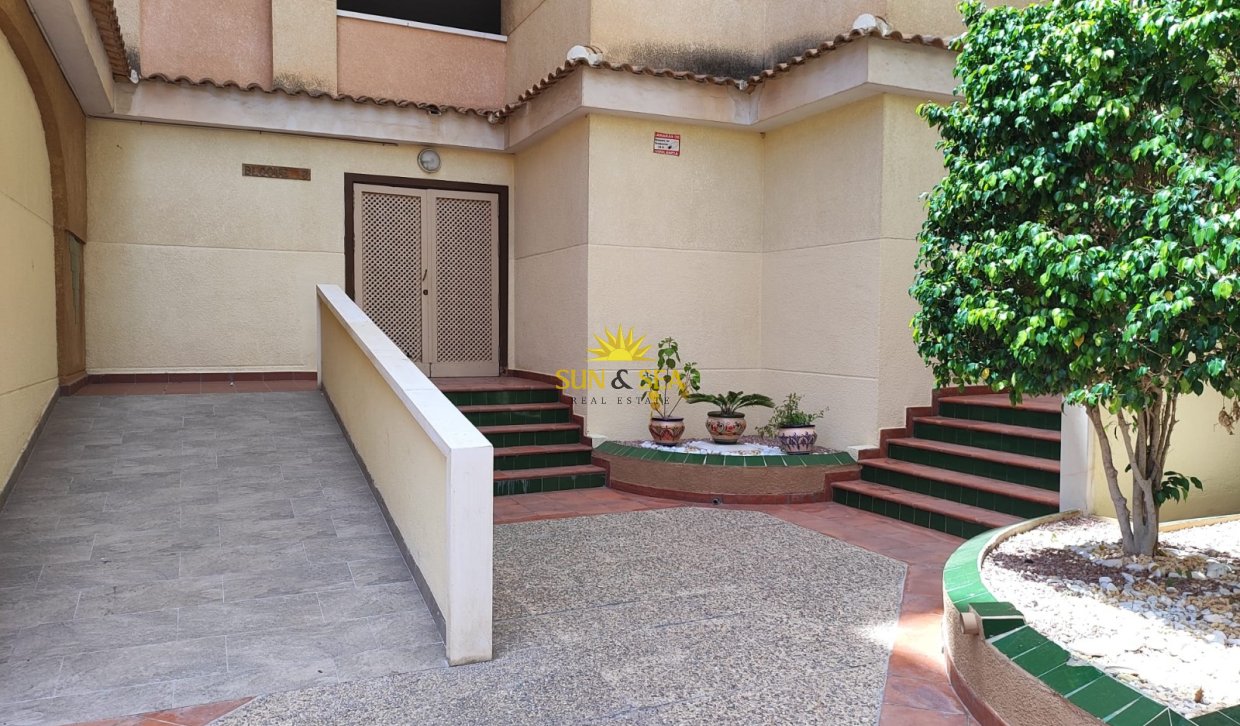 Long Term Rental - Apartment - Torrevieja - Centro