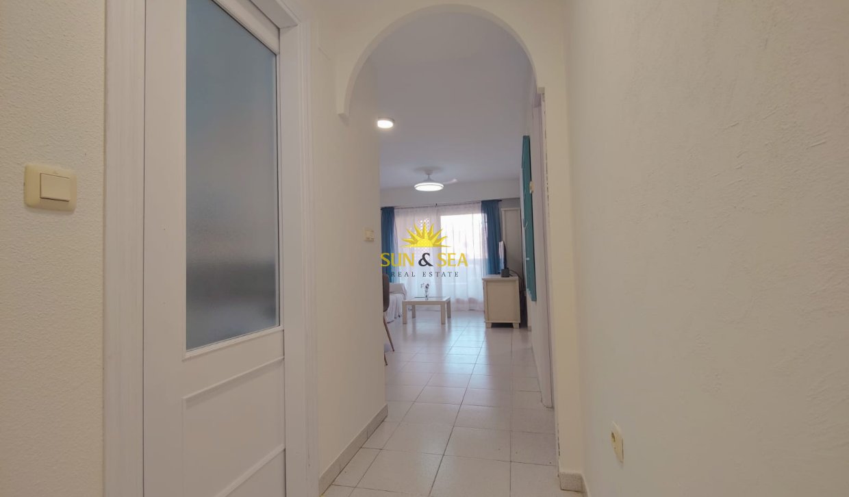 Long Term Rental - Apartment - Torrevieja - Centro