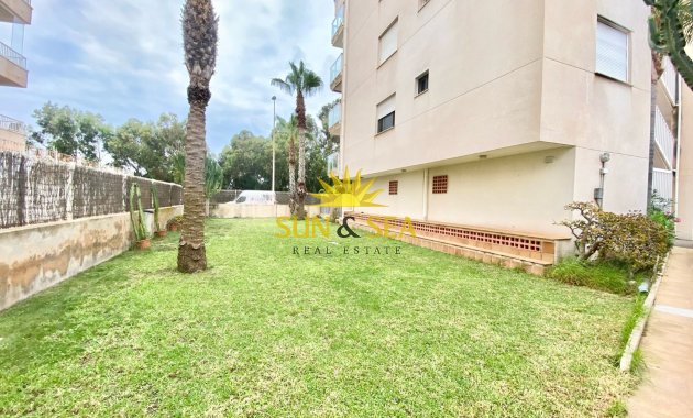 Location à long terme - Appartement - Guardamar del Segura - Guardamar