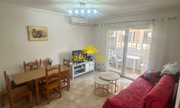 Long Term Rental - Apartment - Torrevieja - torrevieja