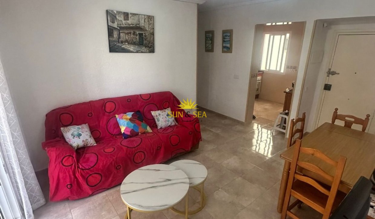 Long Term Rental - Apartment - Torrevieja - torrevieja