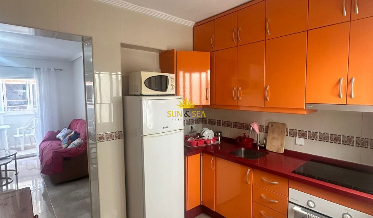 Long Term Rental - Apartment - Torrevieja - torrevieja