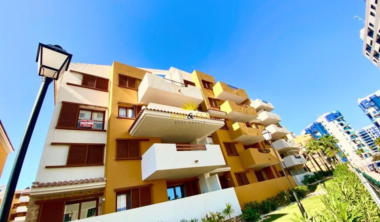 Long Term Rental - Apartment - Torrevieja - Punta prima