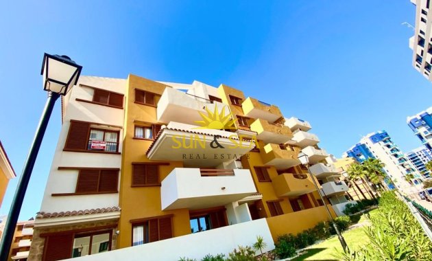 Long Term Rental - Apartment - Torrevieja - Punta prima