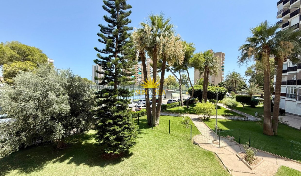 Location à long terme - Studio apartment - Orihuela Costa - Dehesa de campoamor