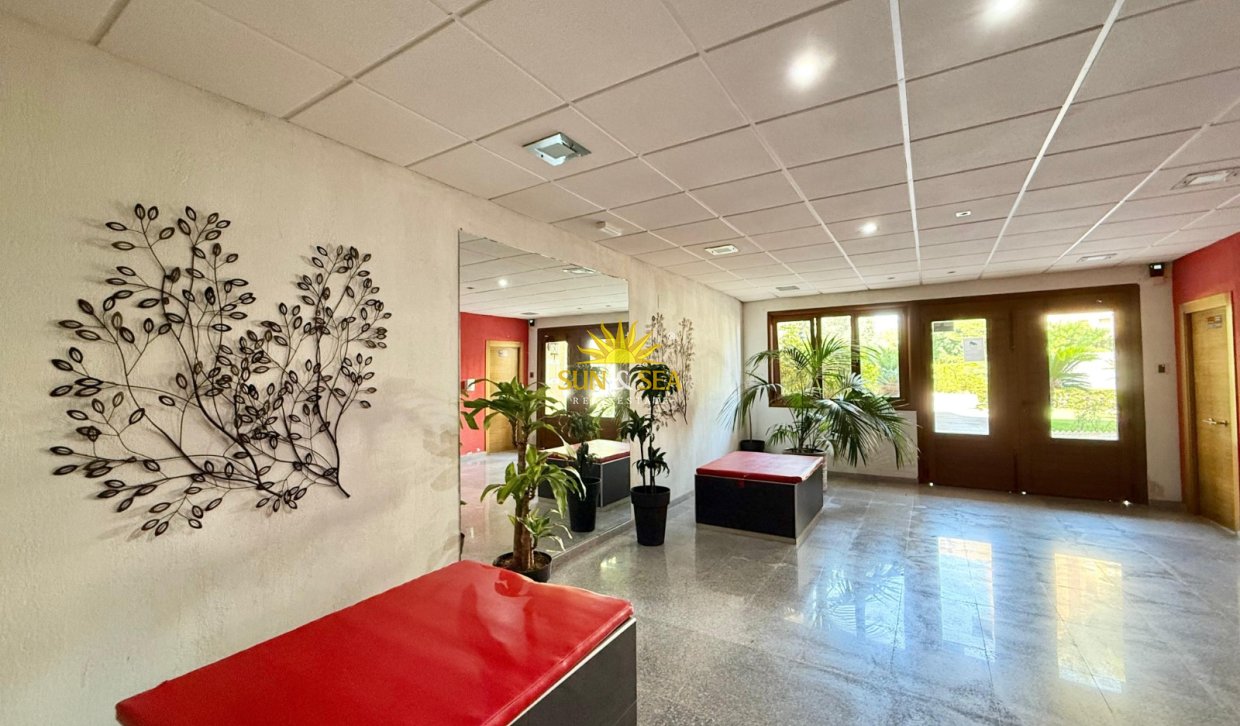 Location à long terme - Studio apartment - Orihuela Costa - Dehesa de campoamor