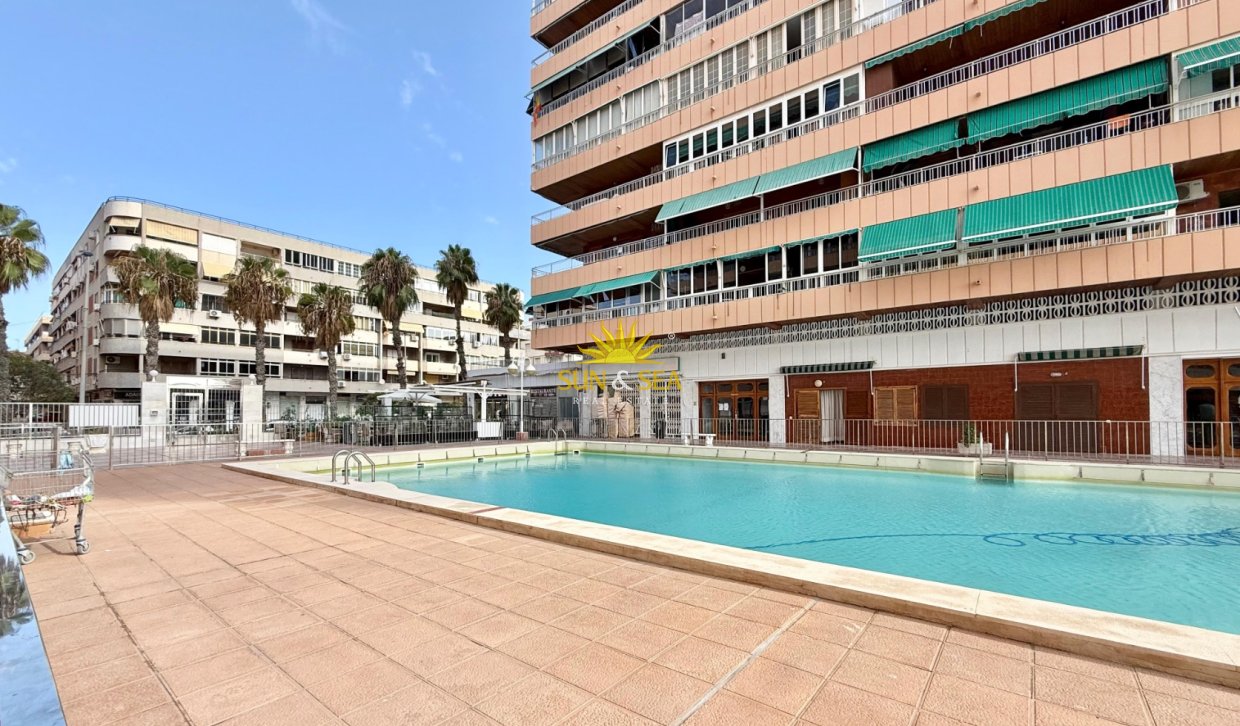Winter rental - Apartment - Torrevieja - El acequión