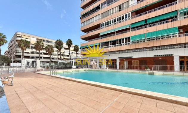 Winter rental - Apartment - Torrevieja - El acequión