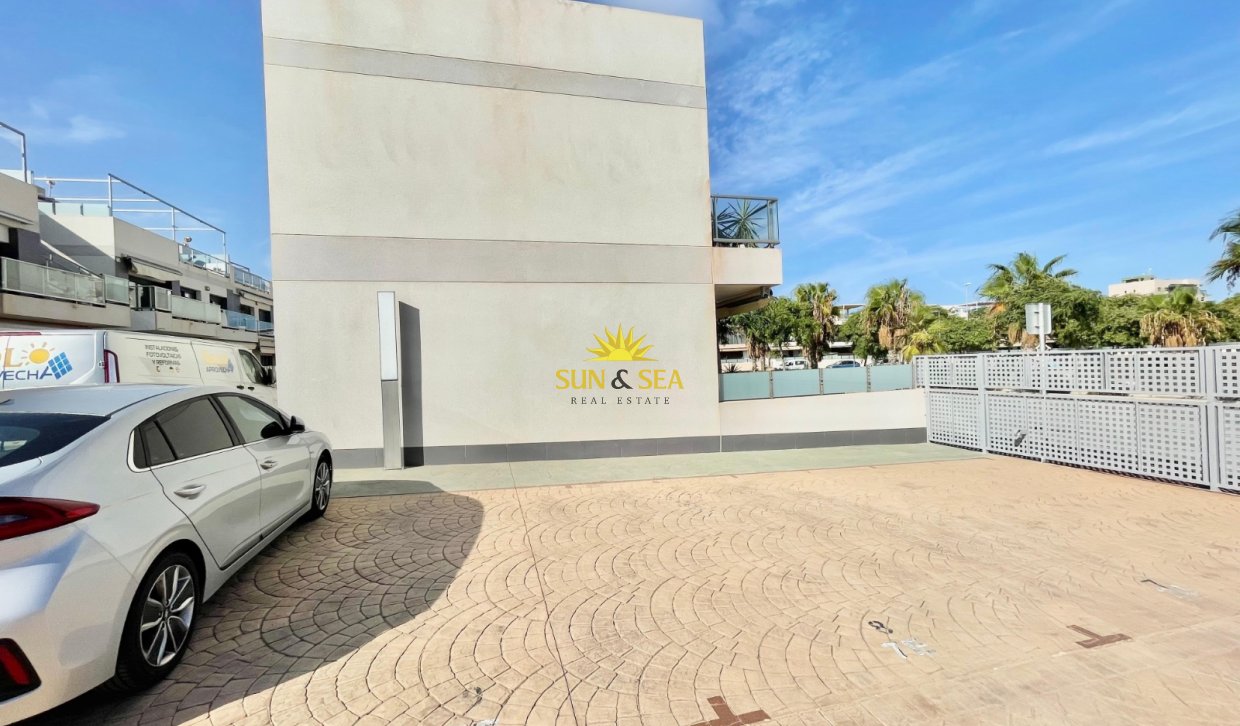 Long Term Rental - Apartment - Pilar de la Horadada - Pueblo Latino