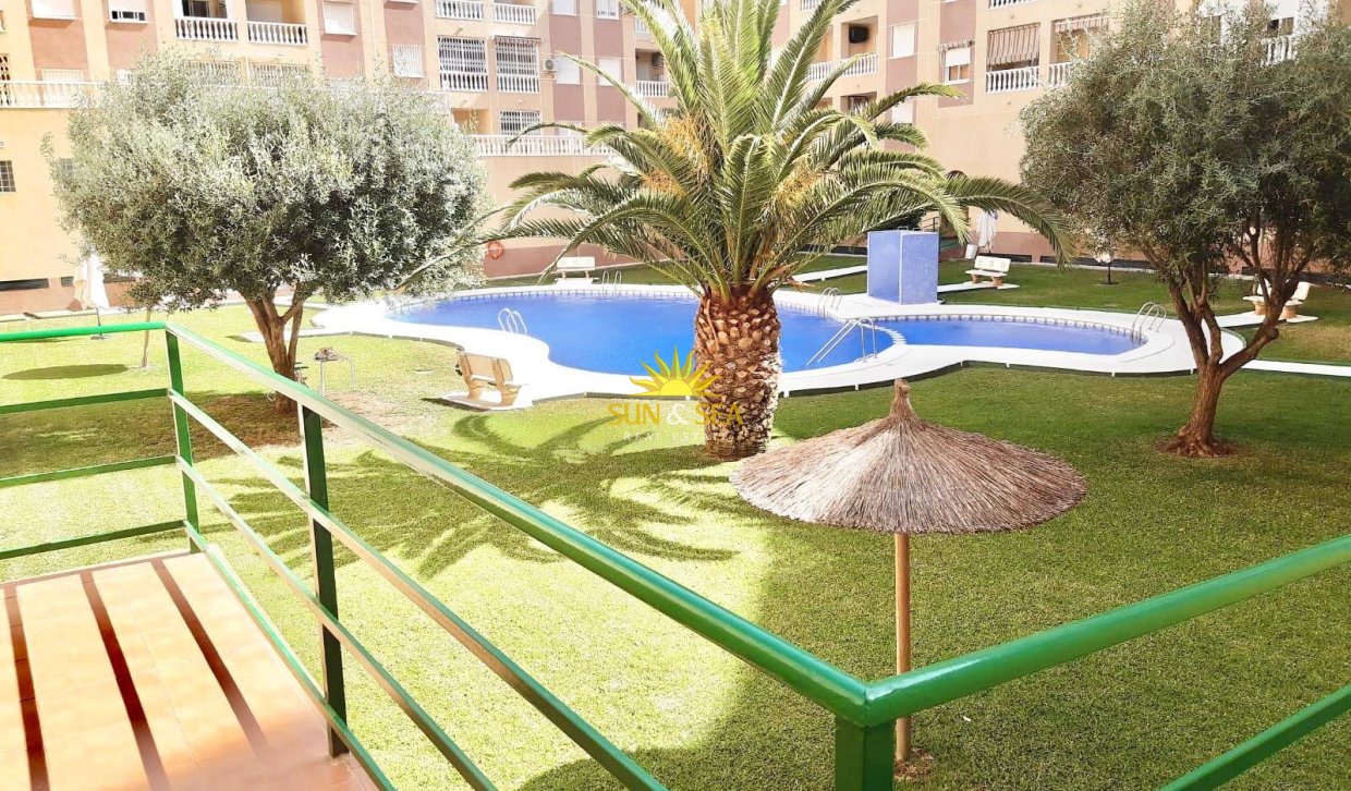 Location d’hiver - Appartement - Orihuela