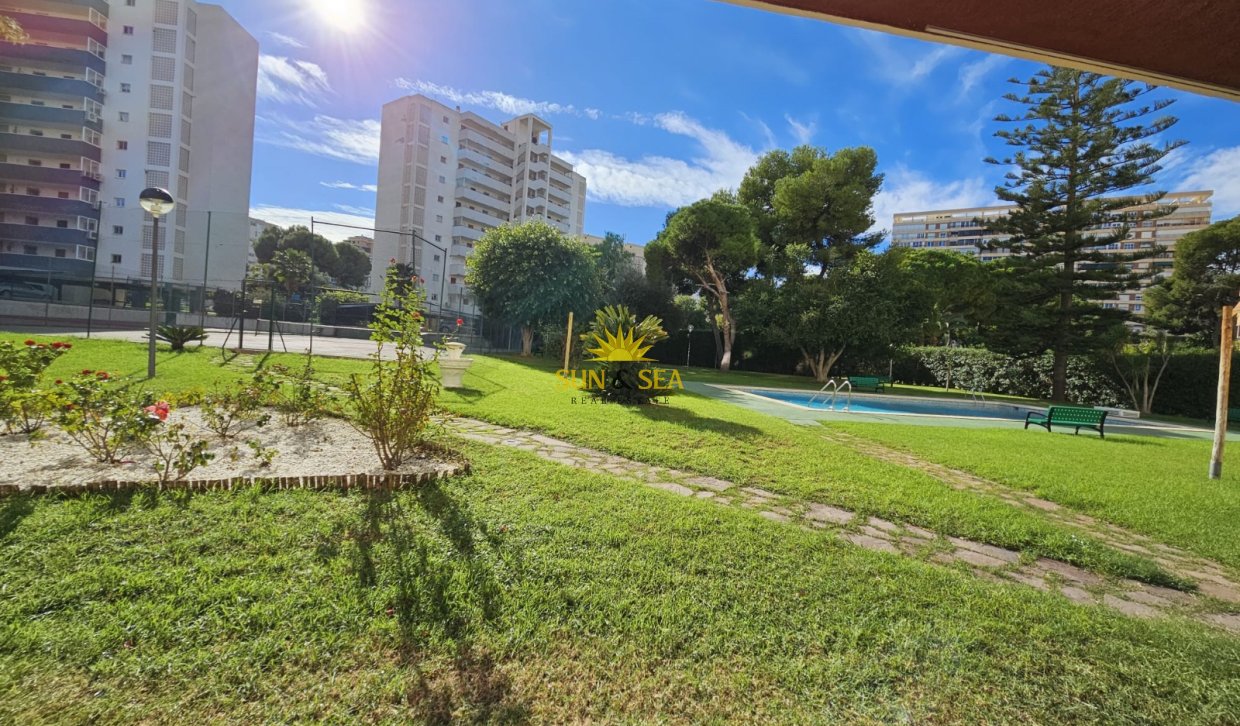 Long Term Rental - Apartment - San Juan Playa - Cabo De Las Huertas