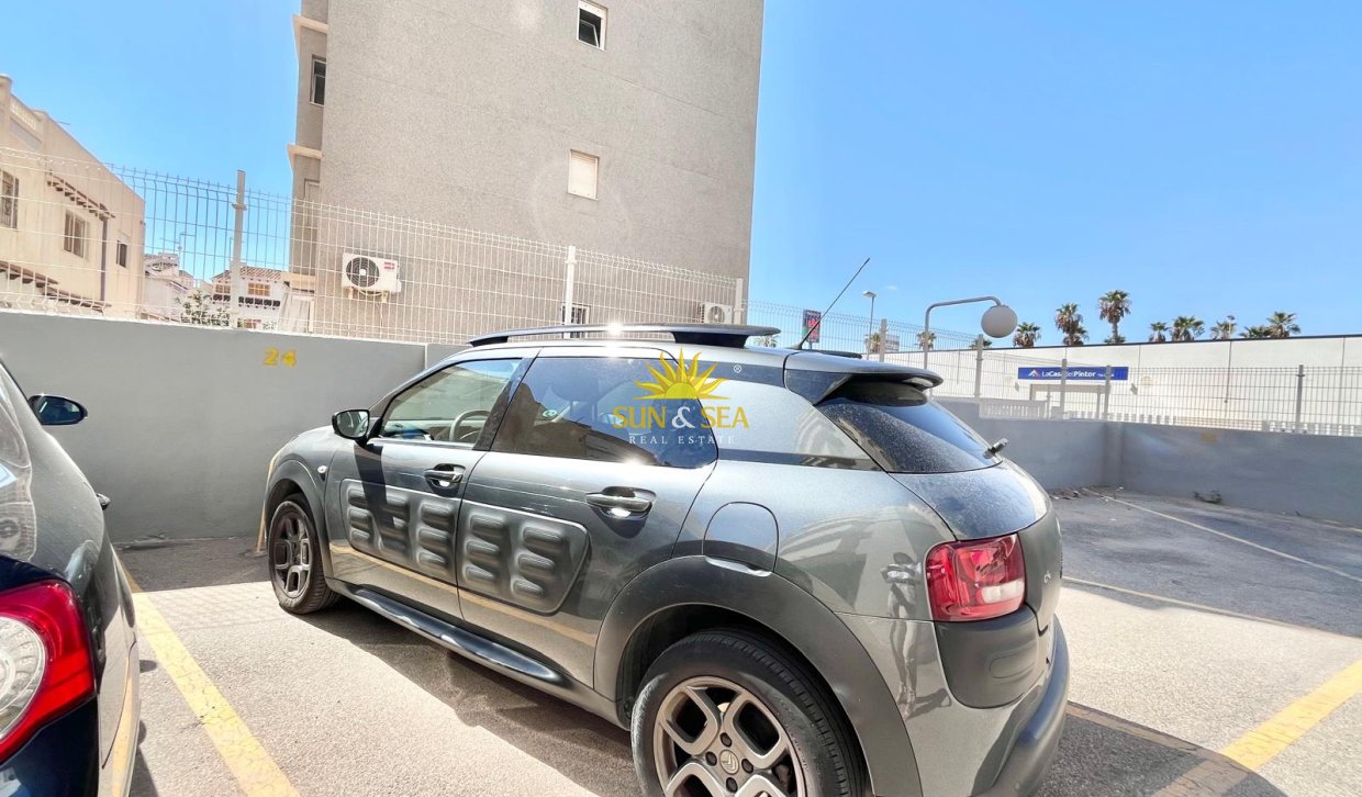 Langfristige Vermietung - Wohnung - Torrevieja - Centro