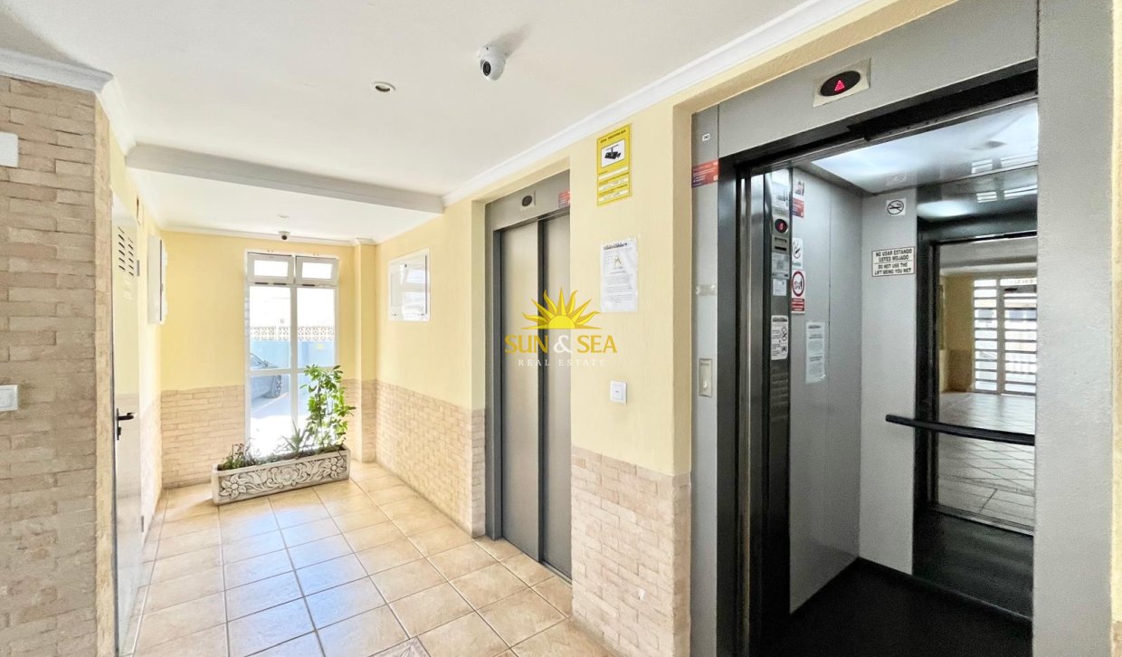 Langfristige Vermietung - Wohnung - Torrevieja - Centro