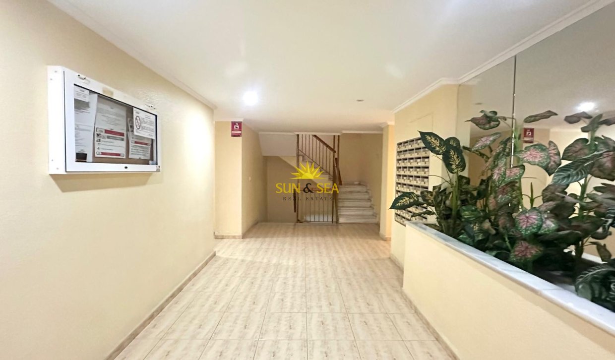 Location à long terme - Appartement - Torrevieja - Acequion