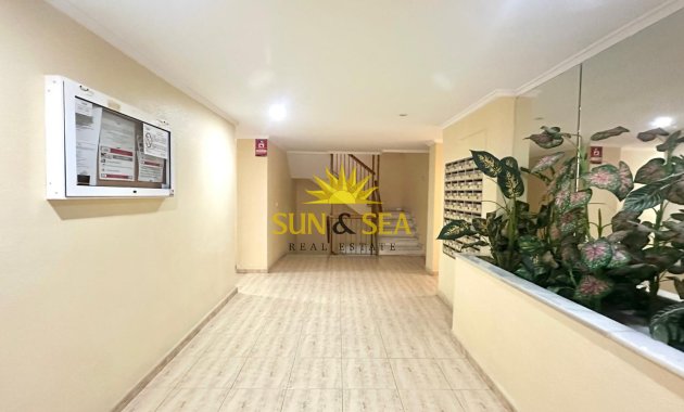 Location à long terme - Appartement - Torrevieja - Acequion