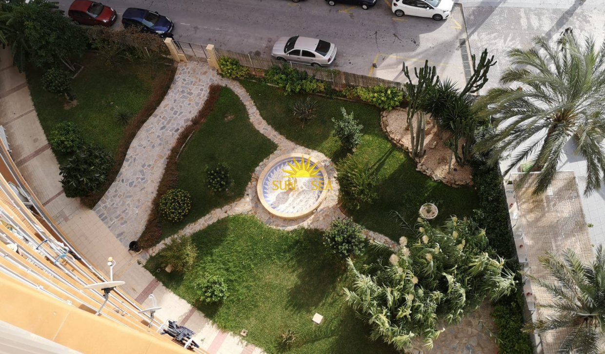 Long Term Rental - Apartment - Torrevieja - Playa del Cura