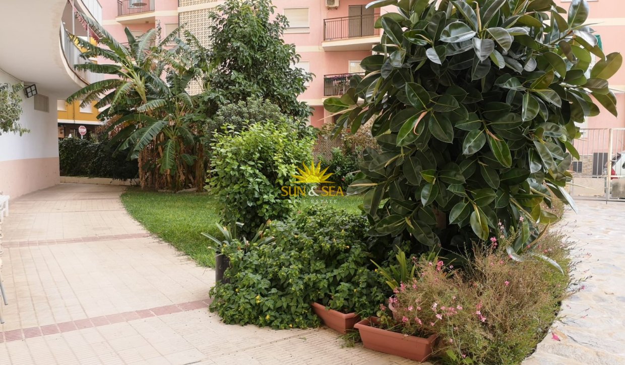 Long Term Rental - Apartment - Torrevieja - Playa del Cura