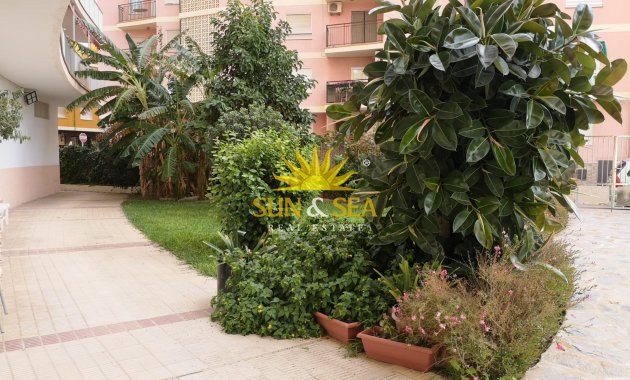 Long Term Rental - Apartment - Torrevieja - Playa del Cura
