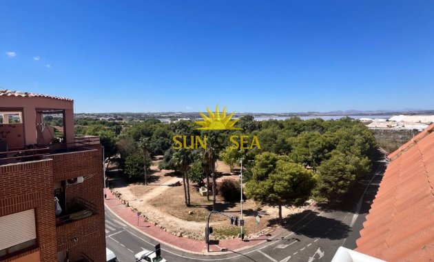 Location à long terme - Appartement - Torrevieja - El acequión