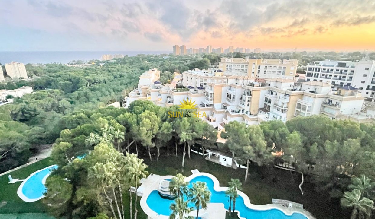 Long Term Rental - Penthouse - Campoamor - Dehesa de campoamor
