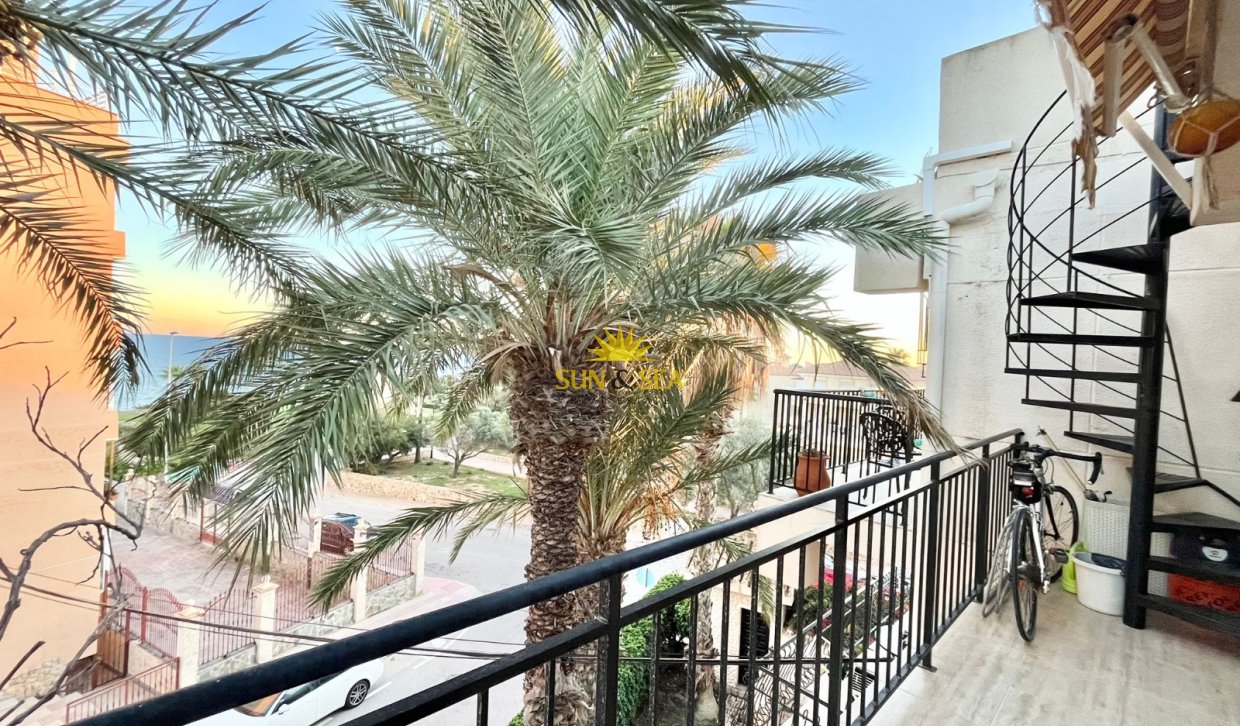 Long Term Rental - Apartment - Torrevieja - Cabo cervera