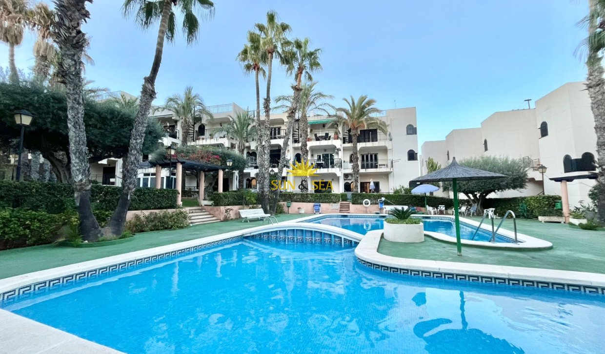 Long Term Rental - Apartment - Torrevieja - Cabo cervera