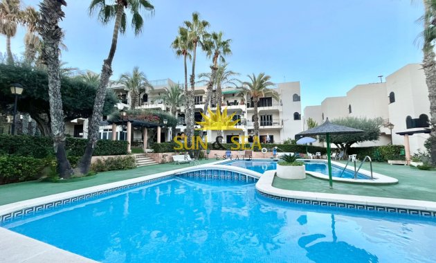 Long Term Rental - Apartment - Torrevieja - Cabo cervera