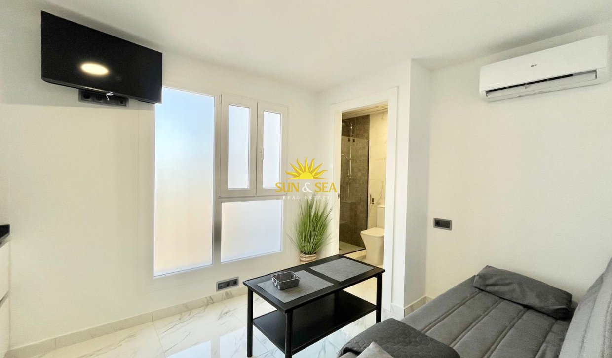 Alquiler de invierno - Apartamento - Torrevieja - torrevieja