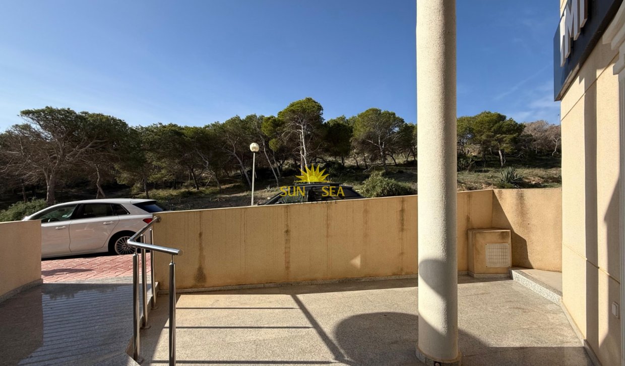 Location à long terme - Commercial - Guardamar del Segura - guardamar del segura