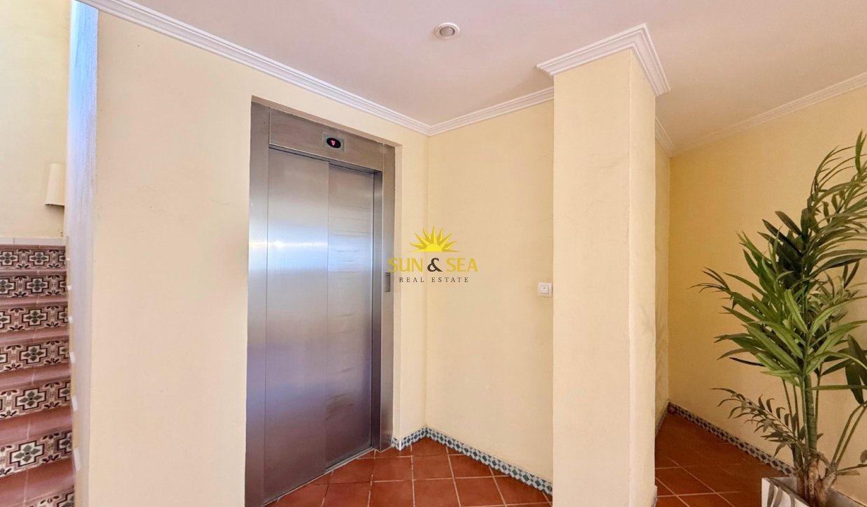 Long Term Rental - Apartment - Torrevieja - Playa de los Locos