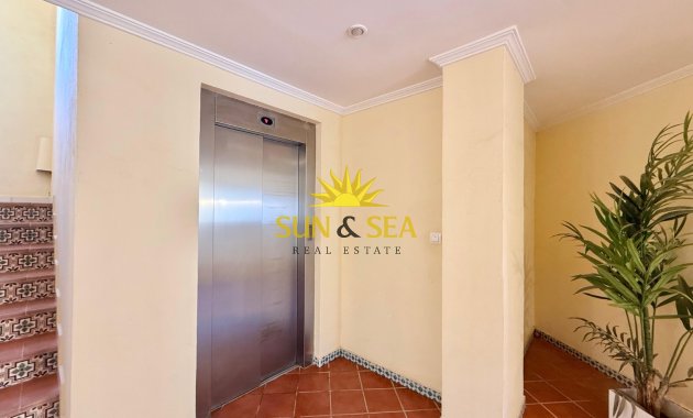 Long Term Rental - Apartment - Torrevieja - Playa de los Locos