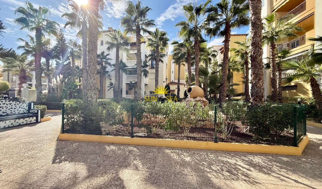 Long Term Rental - Apartment - Torrevieja - Playa de los Locos