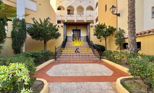 Long Term Rental - Apartment - Torrevieja - Playa de los Locos