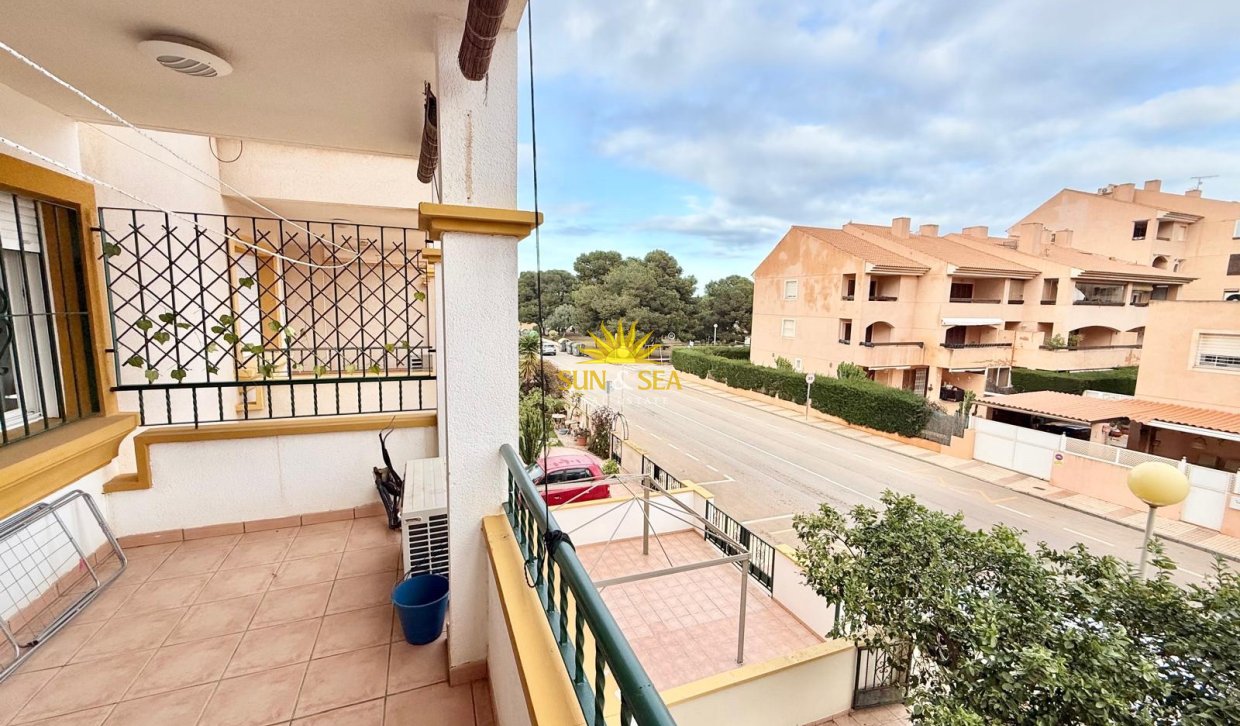 Winter rental - Apartment - Cartagena - Mar de Cristal