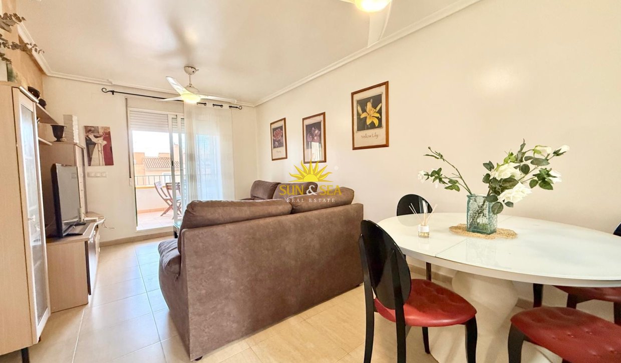 Winter rental - Apartment - Cartagena - Mar de Cristal