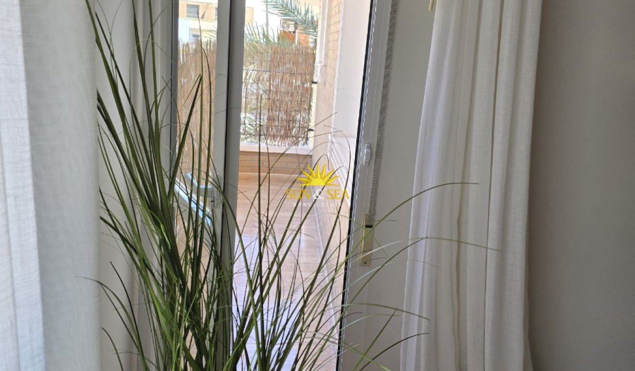 Alquiler a largo plazo - Apartamento - Torrevieja - Centro