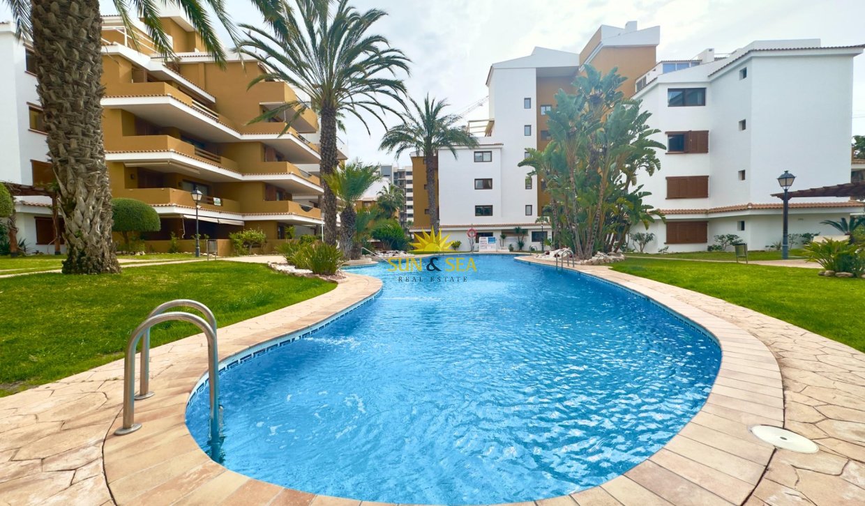 Reventa - Apartamento - Torrevieja - Punta prima