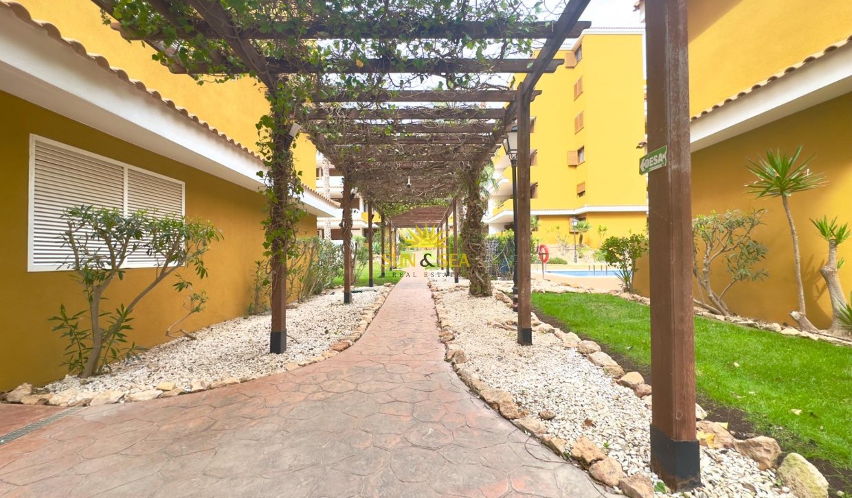 Reventa - Apartamento - Torrevieja - Punta prima