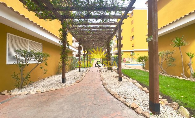 Reventa - Apartamento - Torrevieja - Punta prima