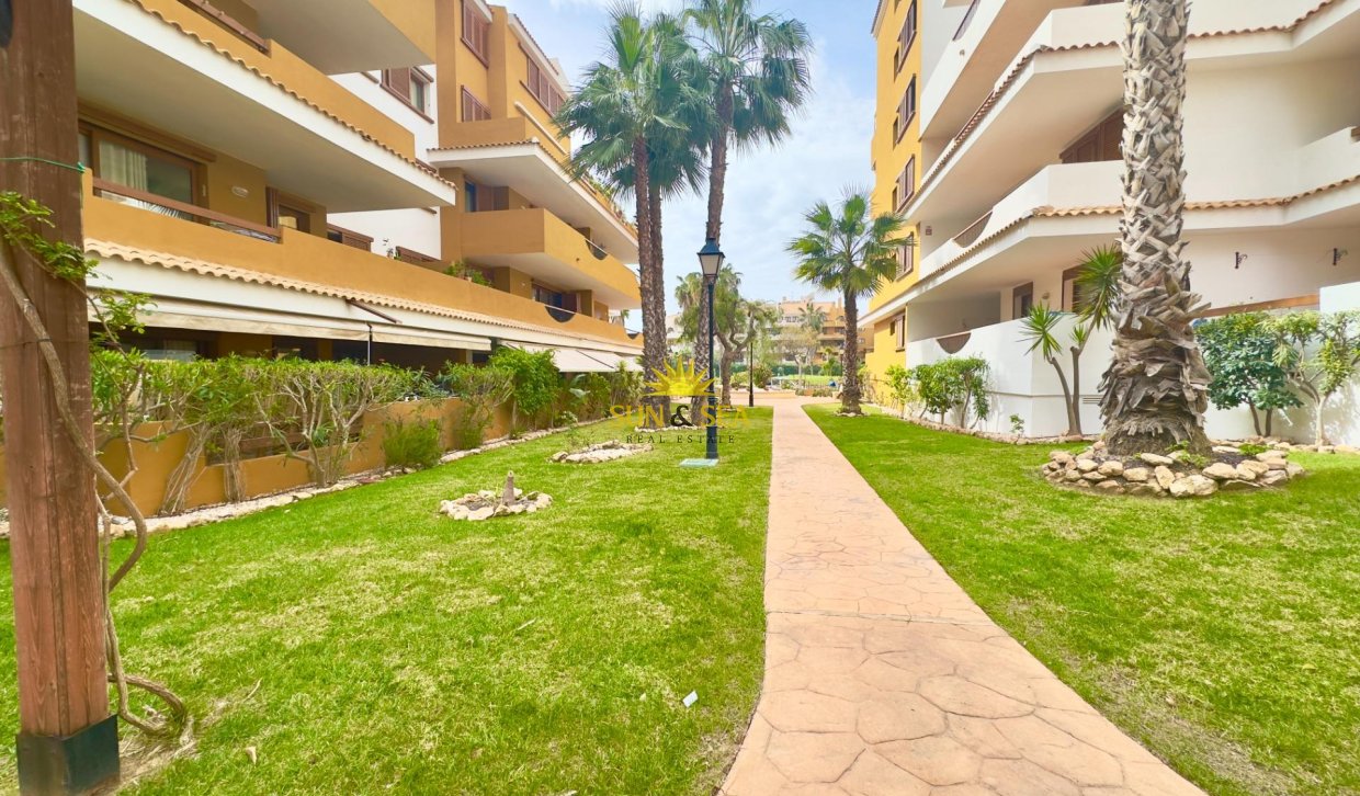 Reventa - Apartamento - Torrevieja - Punta prima