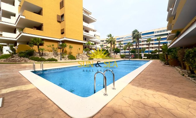 Reventa - Apartamento - Torrevieja - Punta prima
