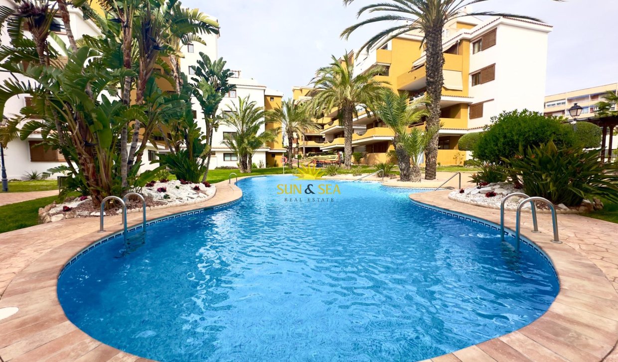 Reventa - Apartamento - Torrevieja - Punta prima