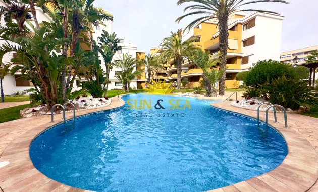 Reventa - Apartamento - Torrevieja - Punta prima