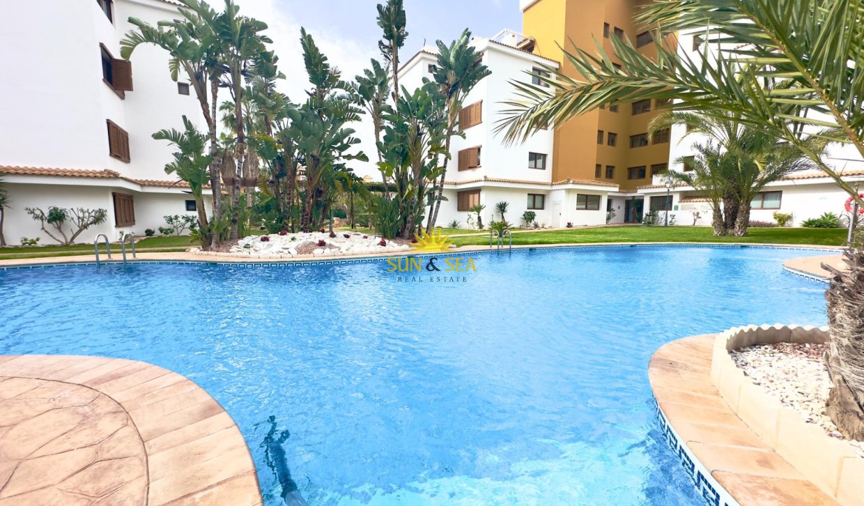 Reventa - Apartamento - Torrevieja - Punta prima