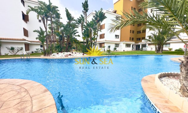 Reventa - Apartamento - Torrevieja - Punta prima