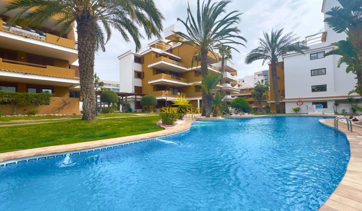Reventa - Apartamento - Torrevieja - Punta prima
