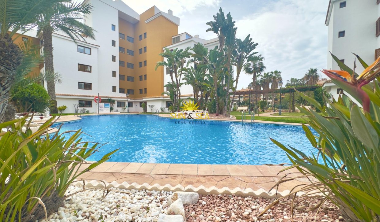 Reventa - Apartamento - Torrevieja - Punta prima