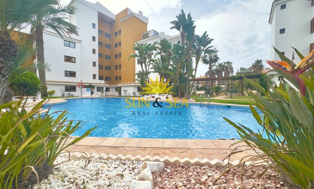 Reventa - Apartamento - Torrevieja - Punta prima