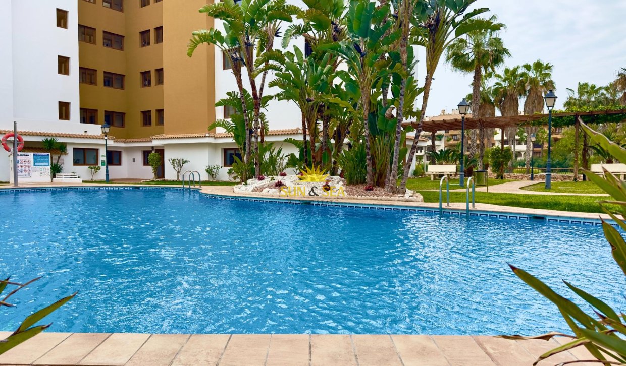 Reventa - Apartamento - Torrevieja - Punta prima